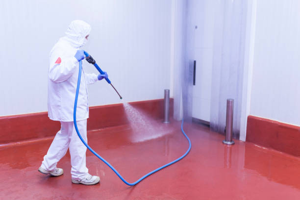 Best Paint Preparation  in Lanham, MD