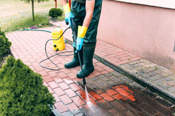 Best Solar Panel Cleaning  in Lanham, MD
